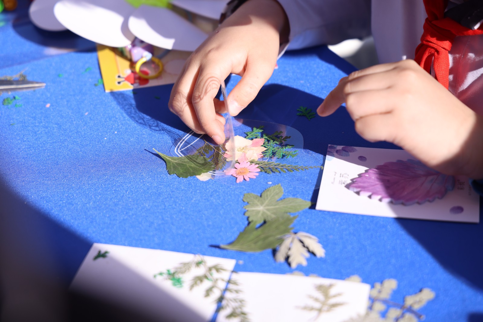 暖心相聚，润泽成长 ——2025徐汇区学生心理嘉年华游园活动圆满举行