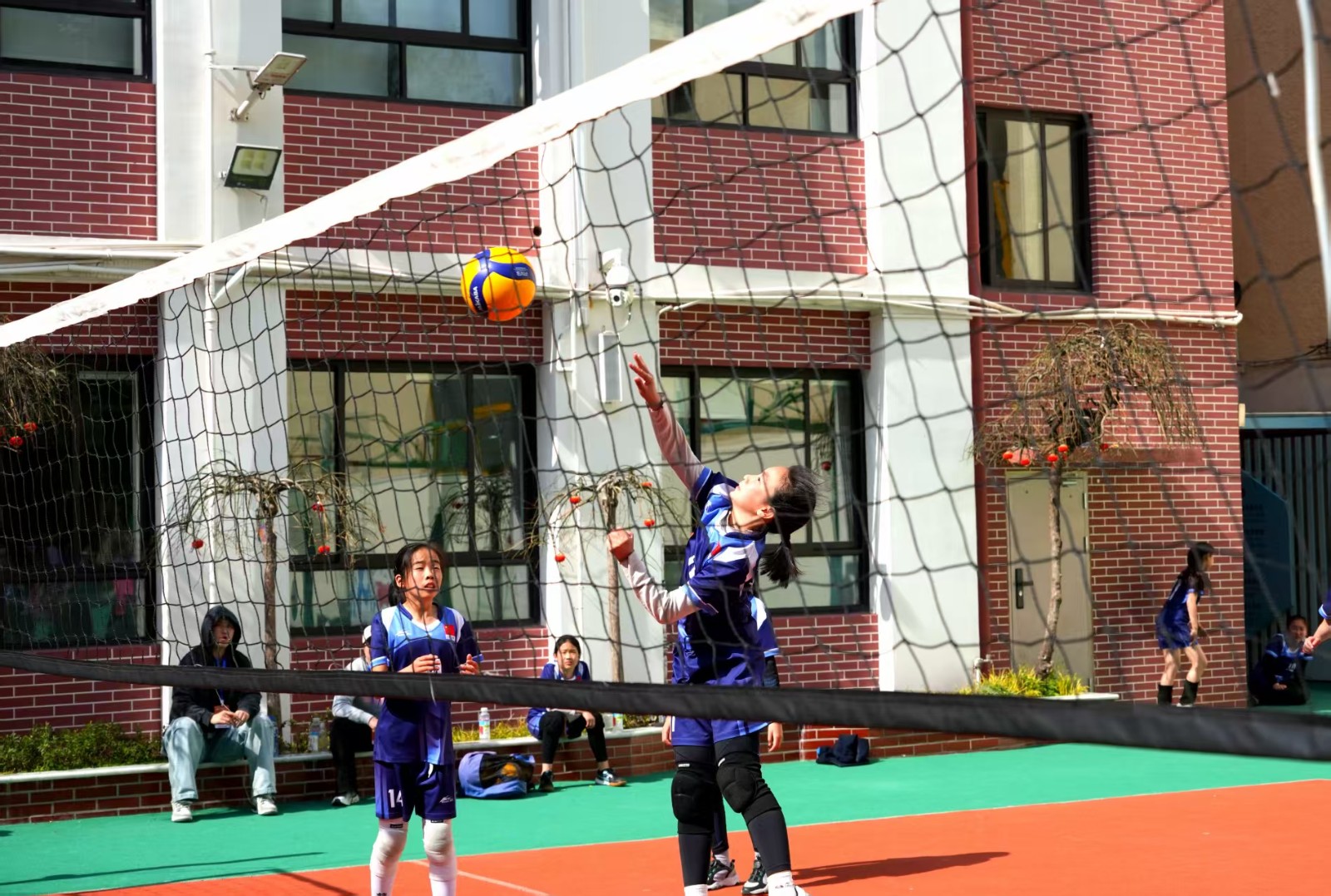徐汇区“建襄杯”小学生排球赛顺利举行