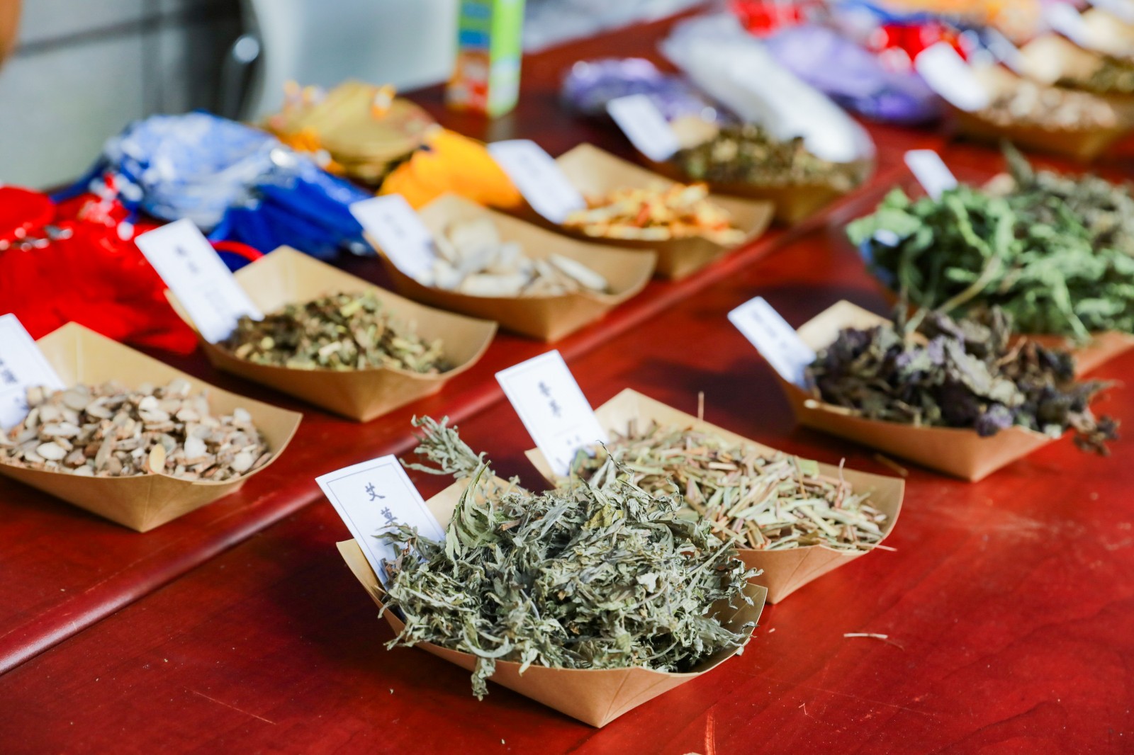今天，孩子是主角！4200多个家庭欢聚徐汇区青少年五育嘉年华