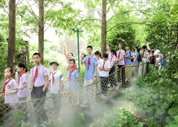 领巾逐夏寻红迹 同心共赴成长路——2026年三区红领巾动感夏令营活动顺利开展