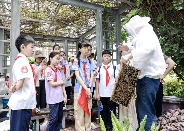 领巾逐夏寻红迹 同心共赴成长路——2026年三区红领巾动感夏令营活动顺利开展