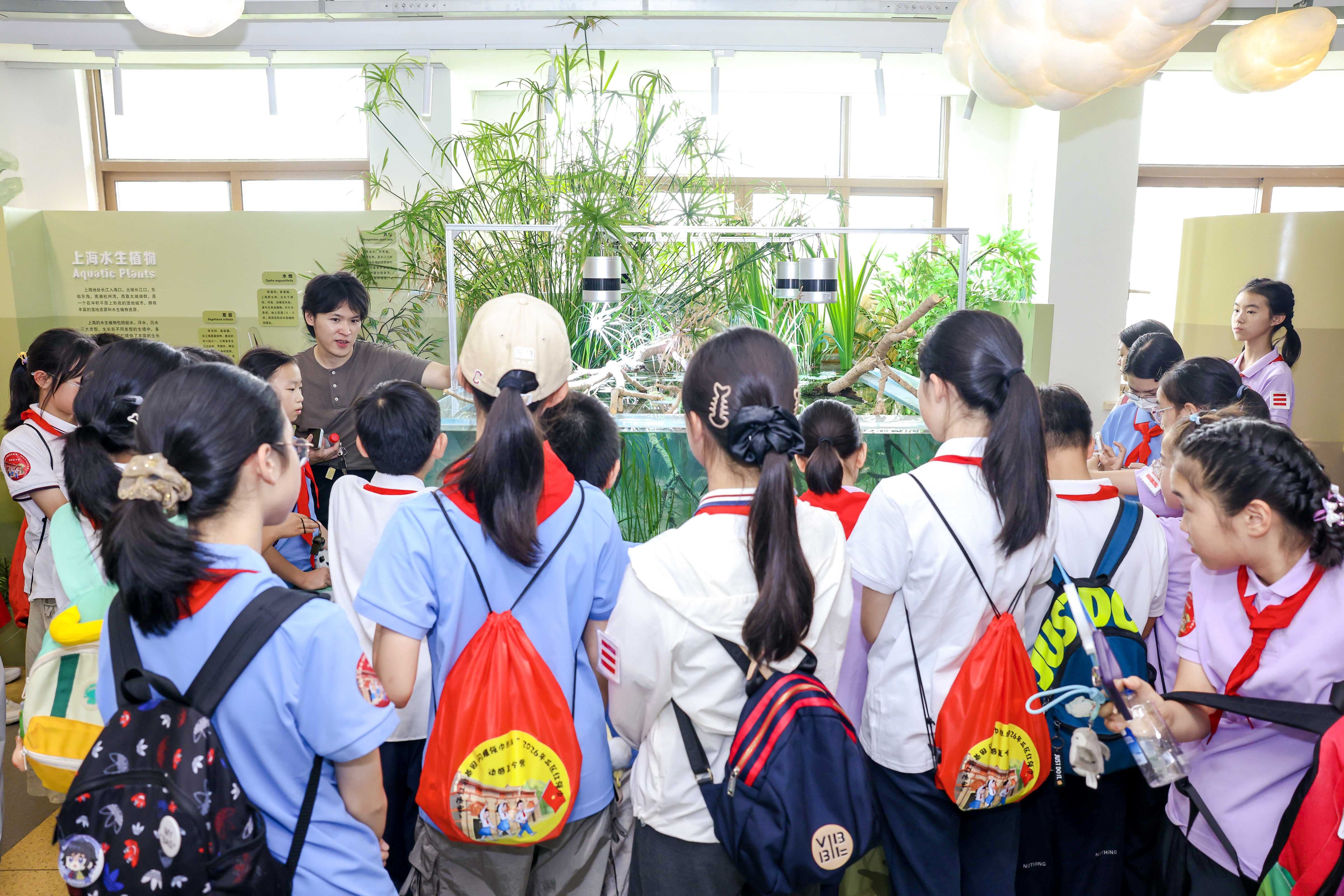领巾逐夏寻红迹 同心共赴成长路——2026年三区红领巾动感夏令营活动顺利开展