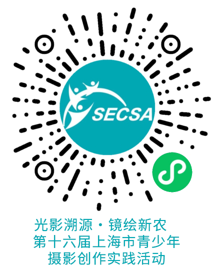 1769070024157956.png 1.png